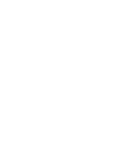Wingsters