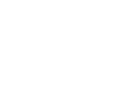 The Fashionista