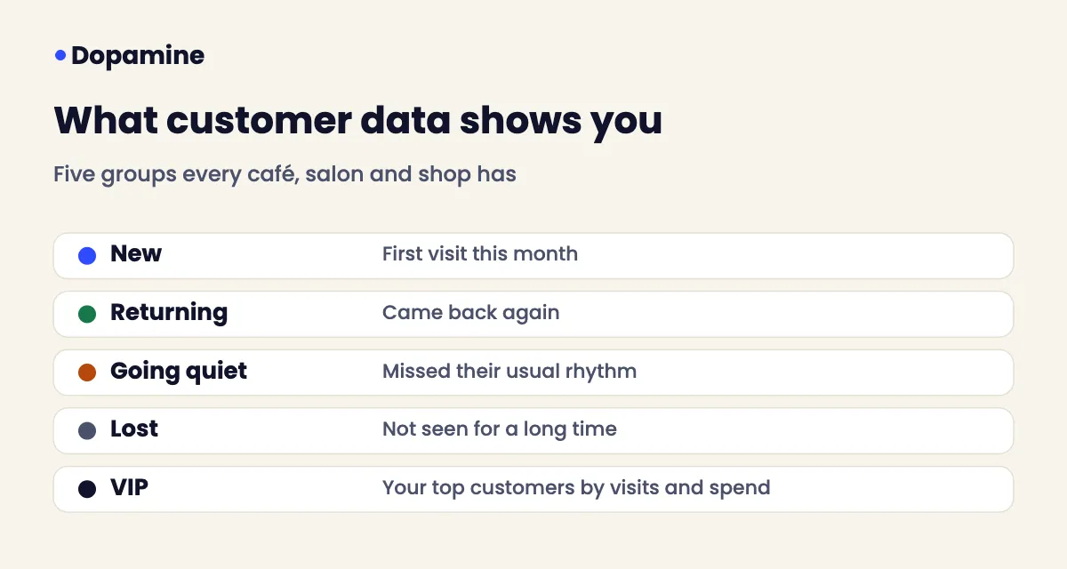 Customer data groups for a small business: new, returning, going quiet, lost and VIP customers